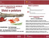 L’AMA a Cesano per le potature e gli sfalci